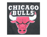 Vintage 90s Chicago Bulls Faded T-Shirt Detail