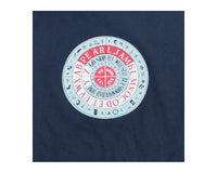 Vintage 90s Pearl Jam No Code Concert T-Shirt Detail
