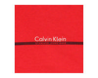 Vintage 90's Calvin Klein Logo